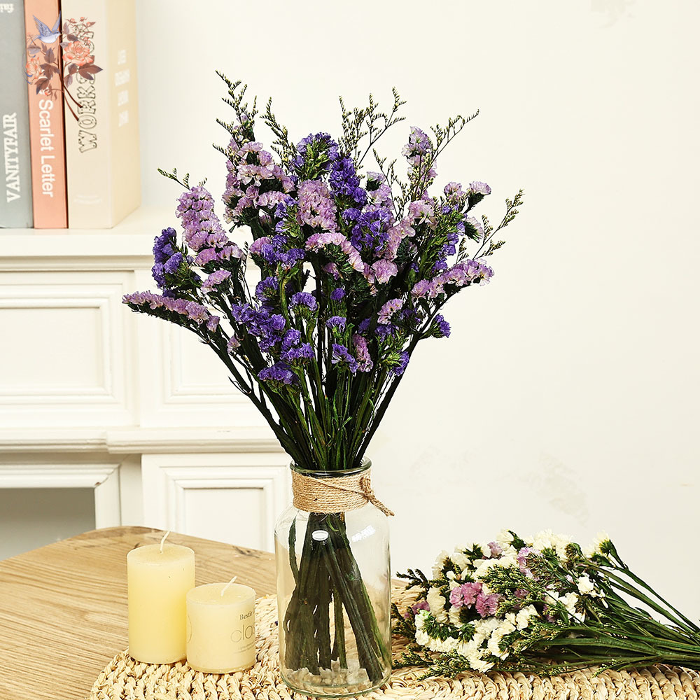 Plant Parent Gifts - Ramo de flores Natural Real de