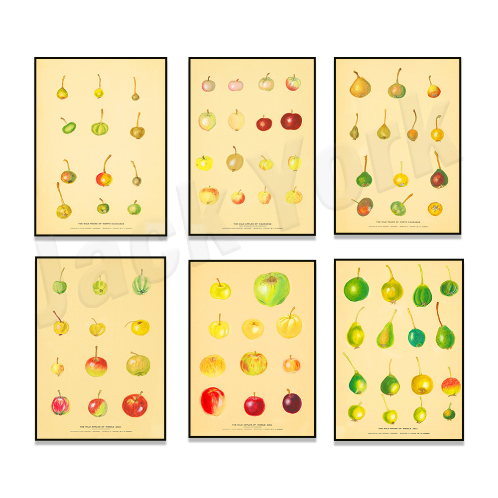 Póster de cocina de frutas, pó - Plant Jackfruit reseña y precio