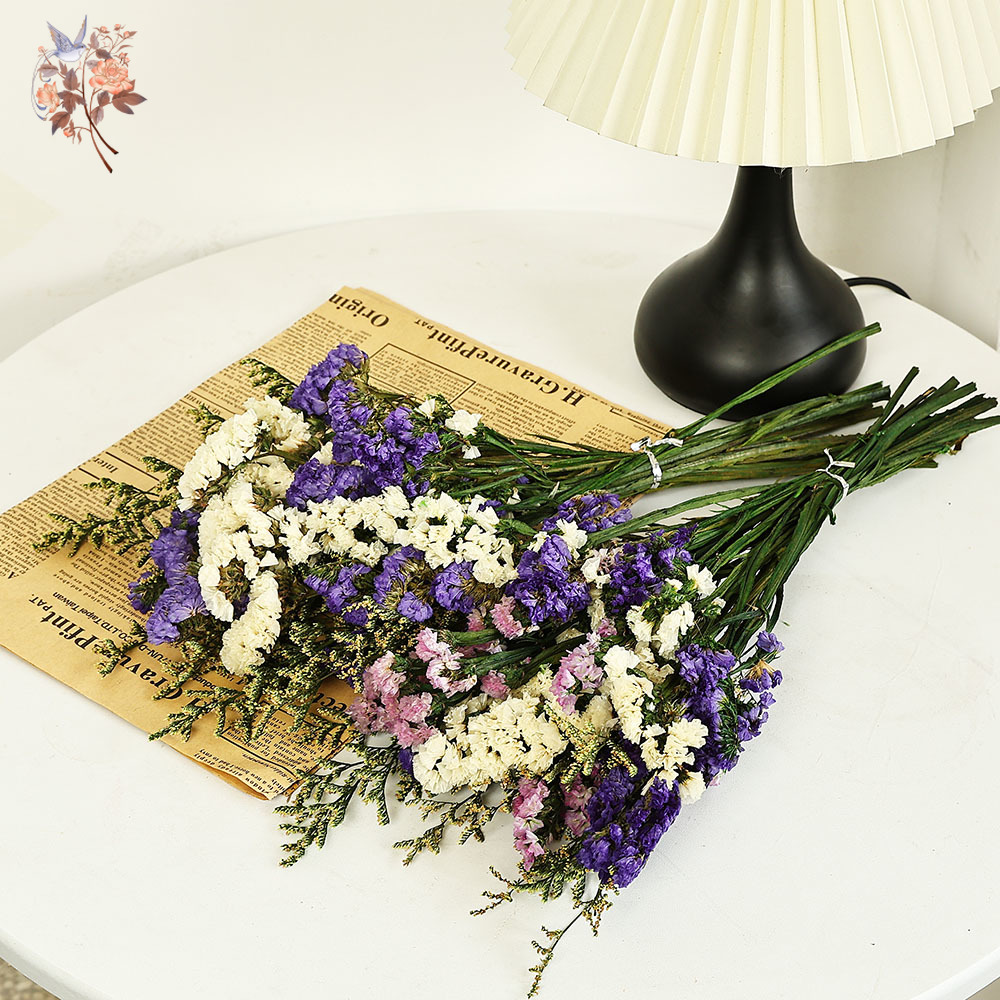 Ramo de flores Natural Real de - Plant Parent Gifts reseña y precio