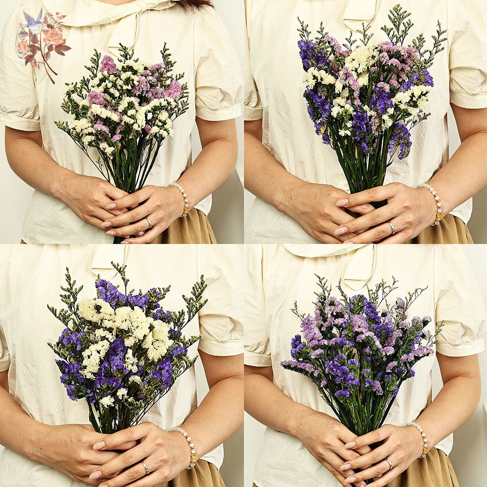 Ramo de flores Natural Real de - Plant Parent Gifts reseña y precio