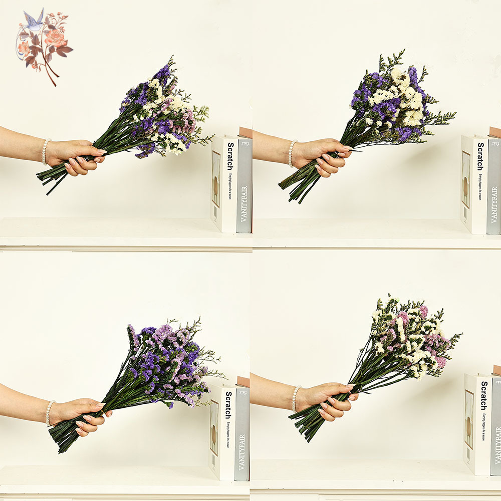 Ramo de flores Natural Real de - Plant Parent Gifts reseña y precio